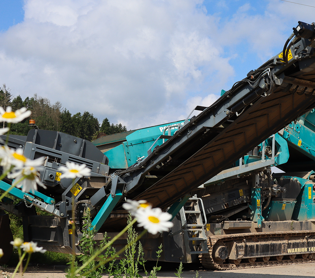 Themarflor Wildblumen auf dem Hof